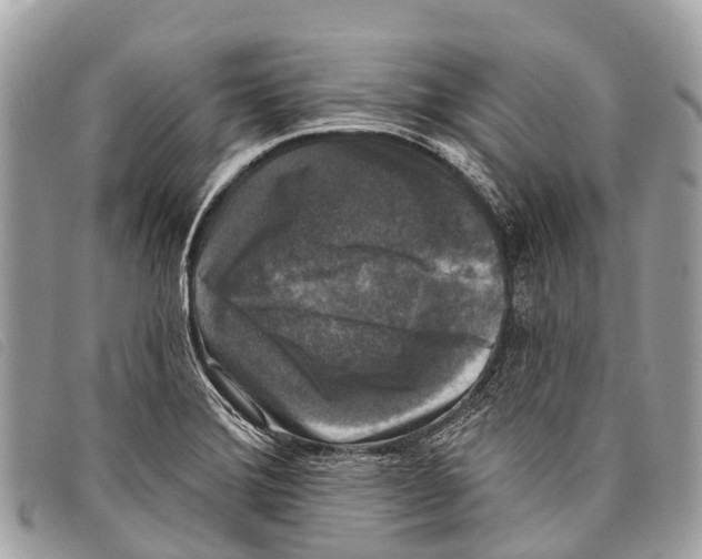 X0000097851372200804111118