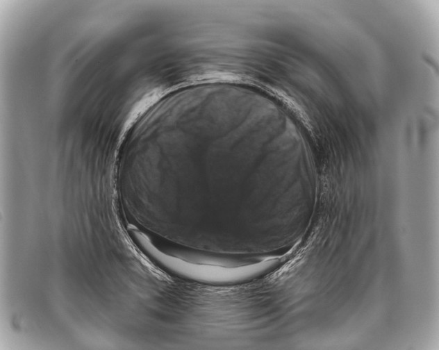 X0000097851373200804111118