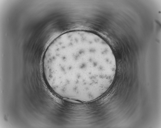 X0000097851375200804111118