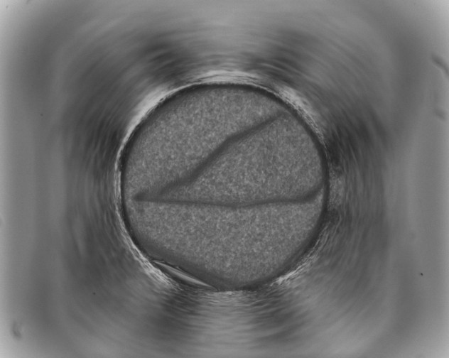 X0000097851376200804111118