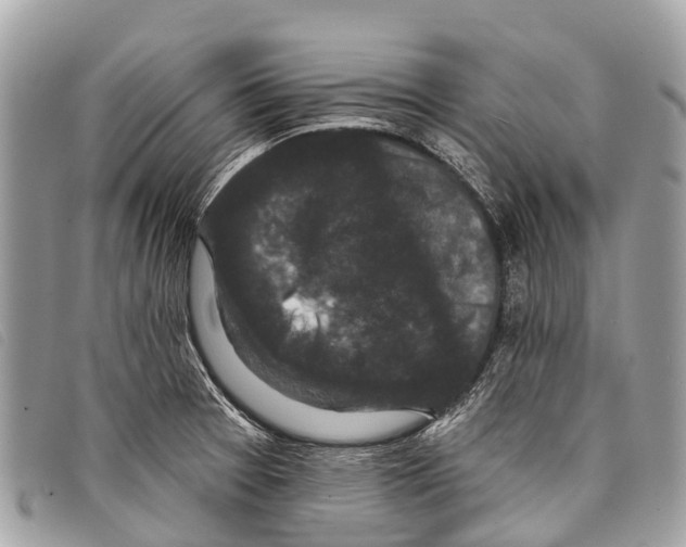 X0000097851377200804111118