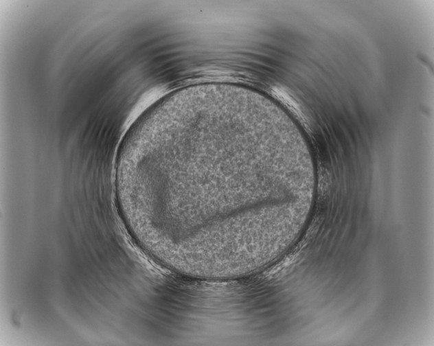 X0000097851378200804111118