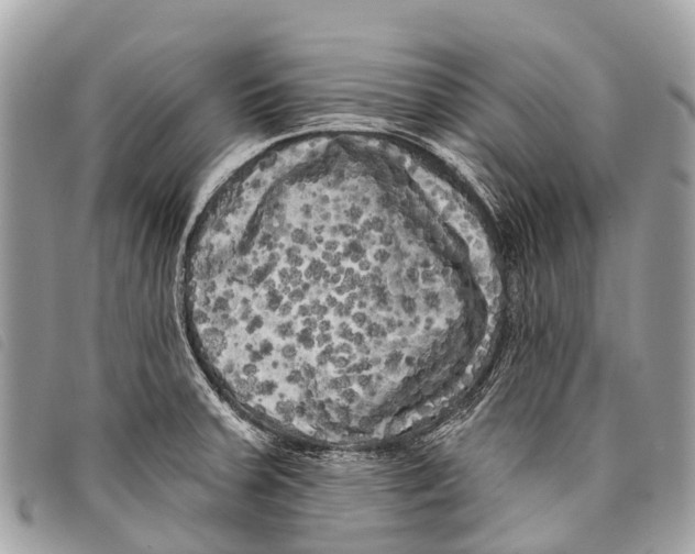 X0000097851379200804111118