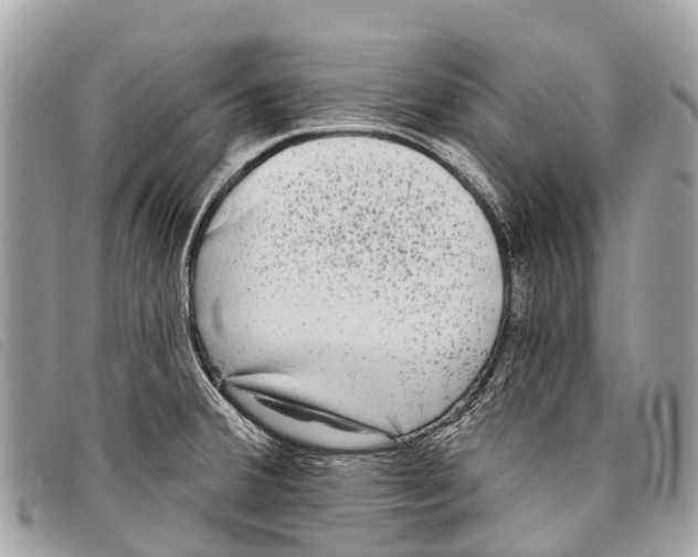 X0000097851380200804111118