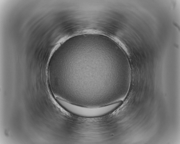 X0000097851381200804111118