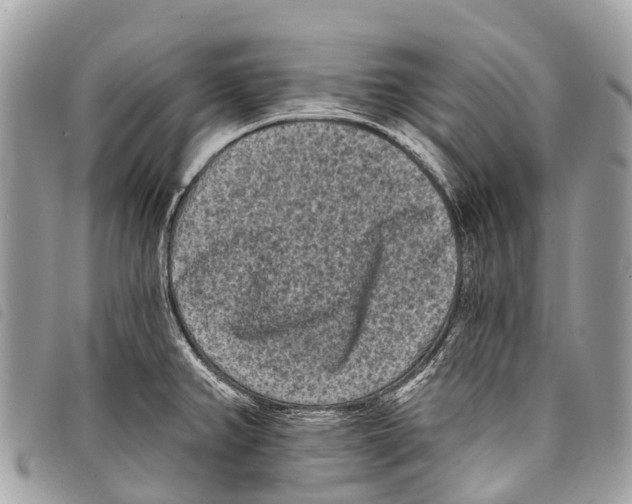 X0000097851382200804111118