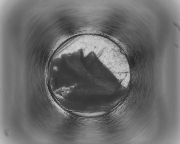 X0000097851383200804111118