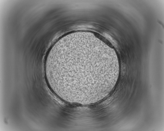 X0000097851384200804111118