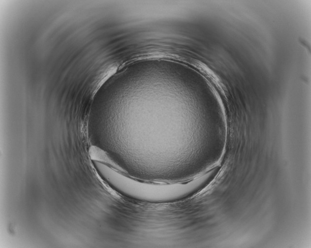 X0000097851385200804111118