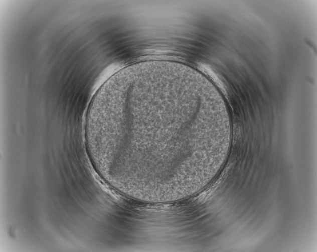 X0000097851386200804111118