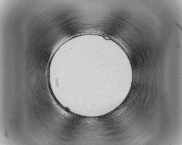 X0000097851387200804111118