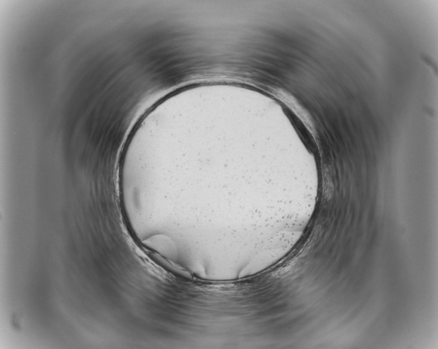 X0000097851388200804111118