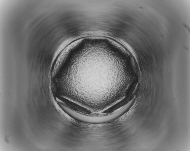 X0000097851389200804111118