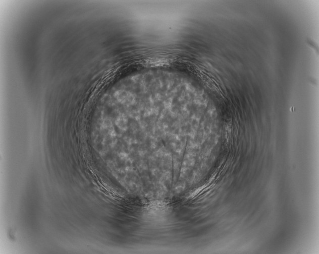 X0000097851393200804111117