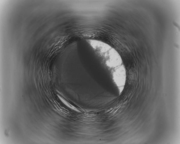 X0000097851394200804111117