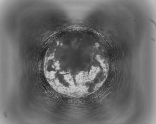 X0000097851397200804111117