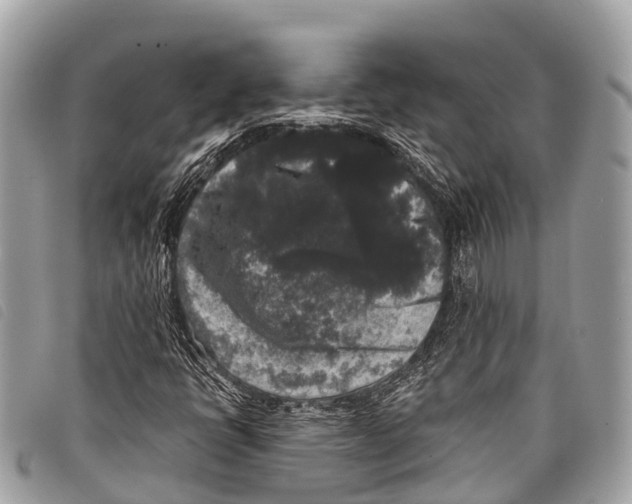 X0000097851398200804111117