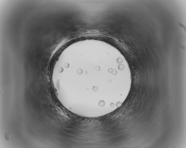 X0000097851400200804111117