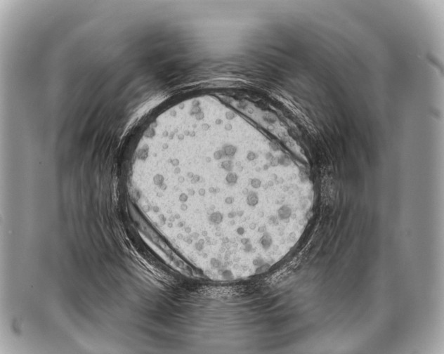 X0000097851402200804111117