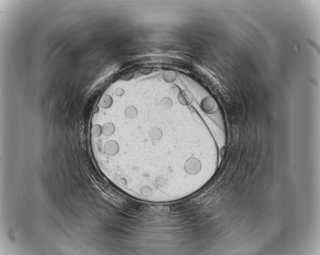 X0000097851403200804111117