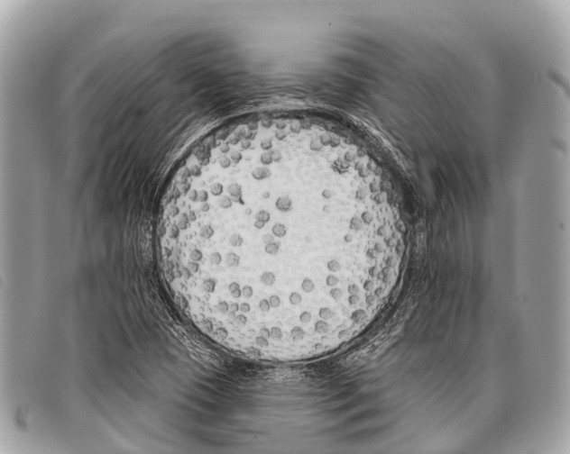 X0000097851409200804111117