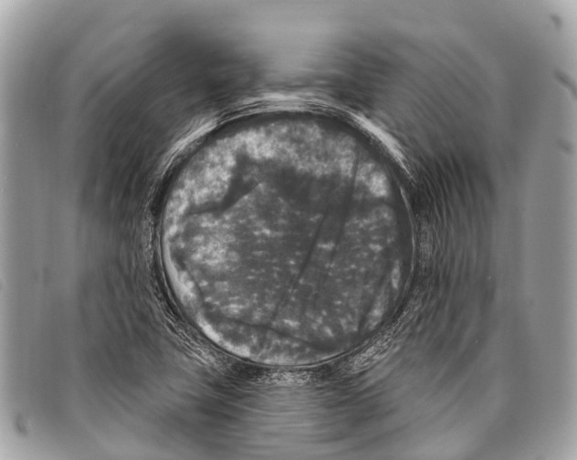 X0000097851411200804111117