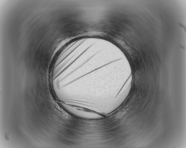 X0000097851412200804111117