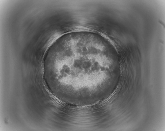 X0000097851415200804111117