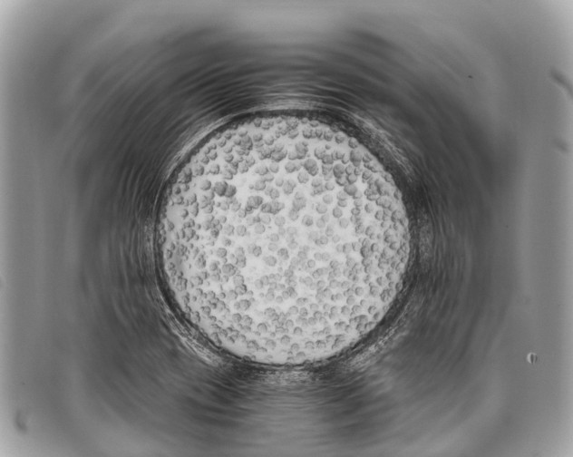 X0000097851417200804111118