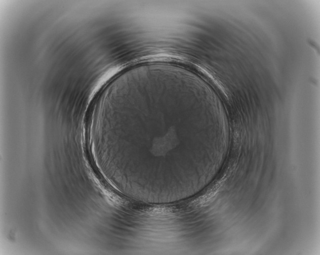 X0000097851418200804111118