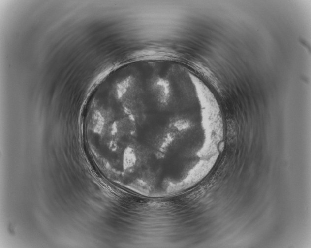 X0000097851419200804111118