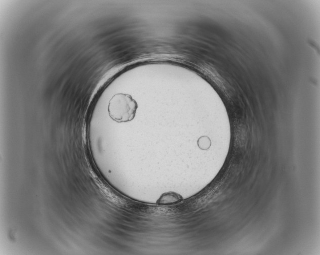 X0000097851420200804111118