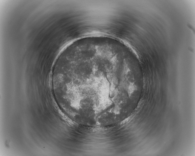 X0000097851421200804111118