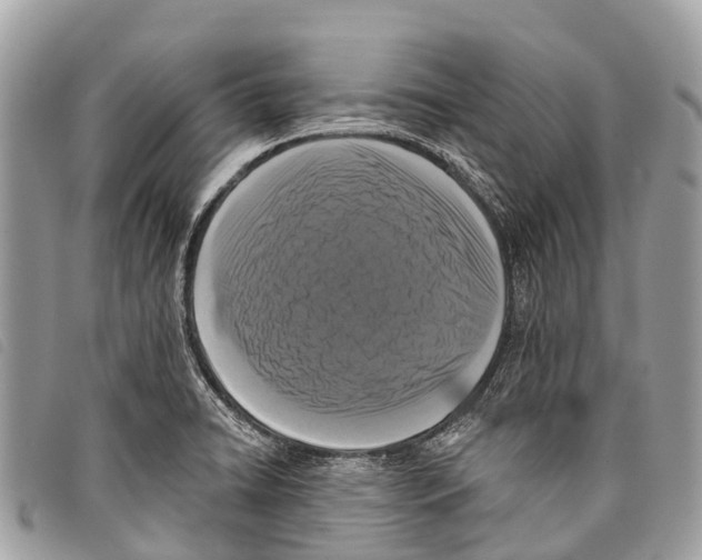 X0000097851422200804111118