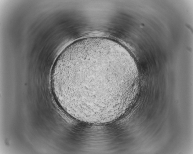 X0000097851423200804111118