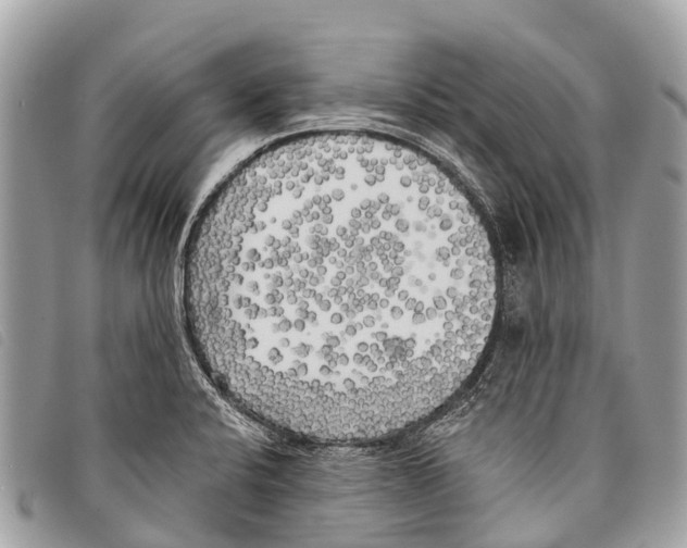 X0000097851424200804111118