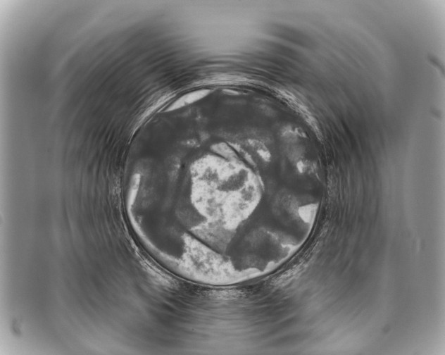 X0000097851425200804111118