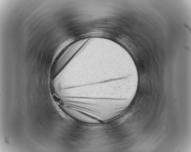 X0000097851426200804111118