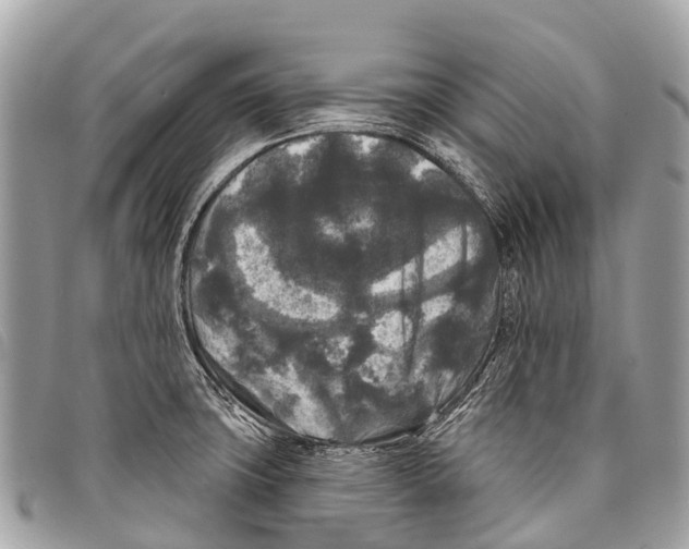 X0000097851427200804111118