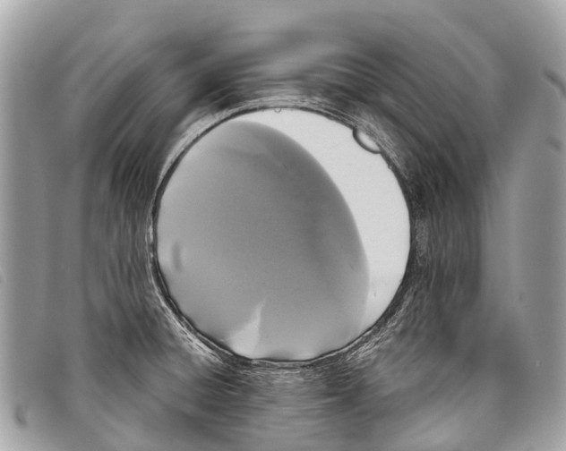 X0000097851428200804111118