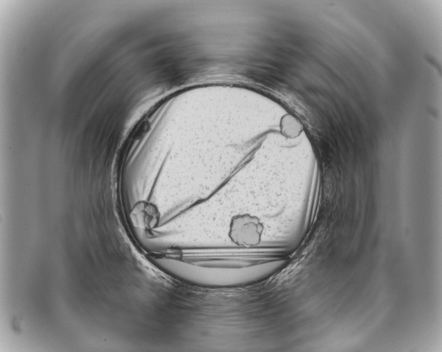 X0000097851430200804111118