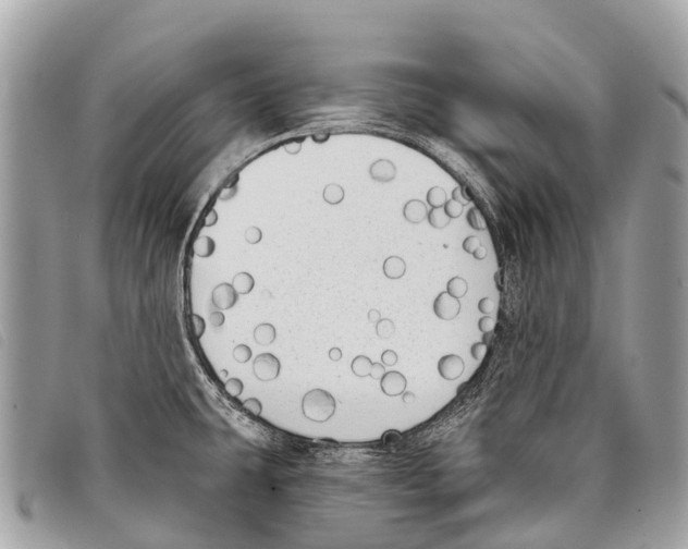 X0000097851431200804111118