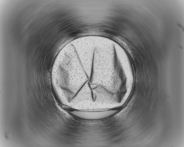 X0000097851433200804111118