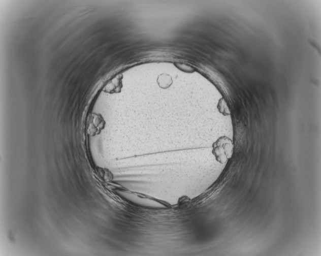 X0000097851435200804111118