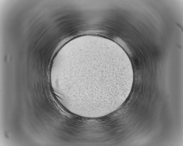 X0000097851436200804111118