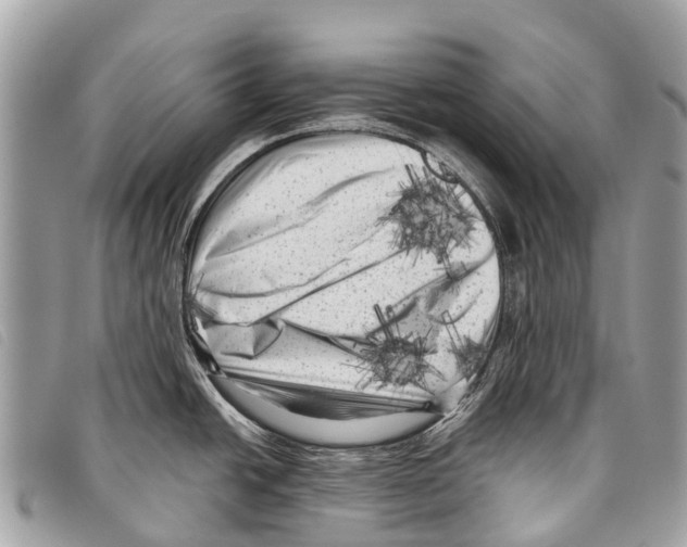 X0000097851438200804111118