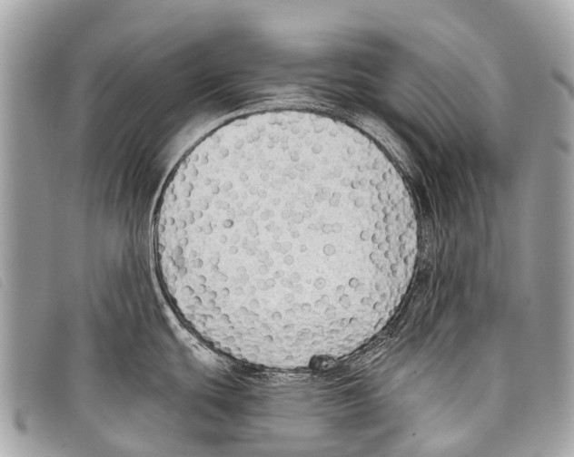 X0000097851439200804111118