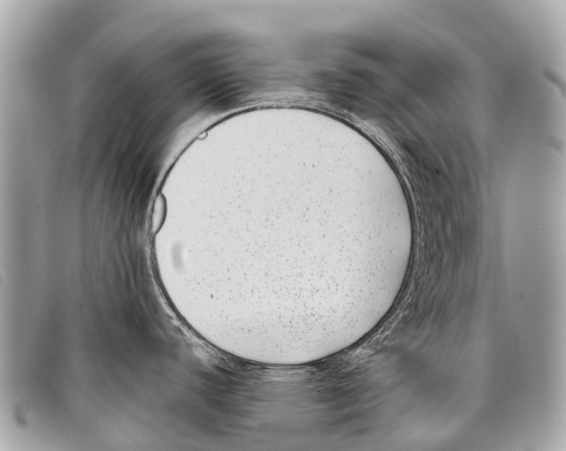 X0000097851440200804111118