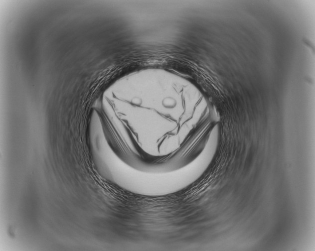 X0000097851441200804111117