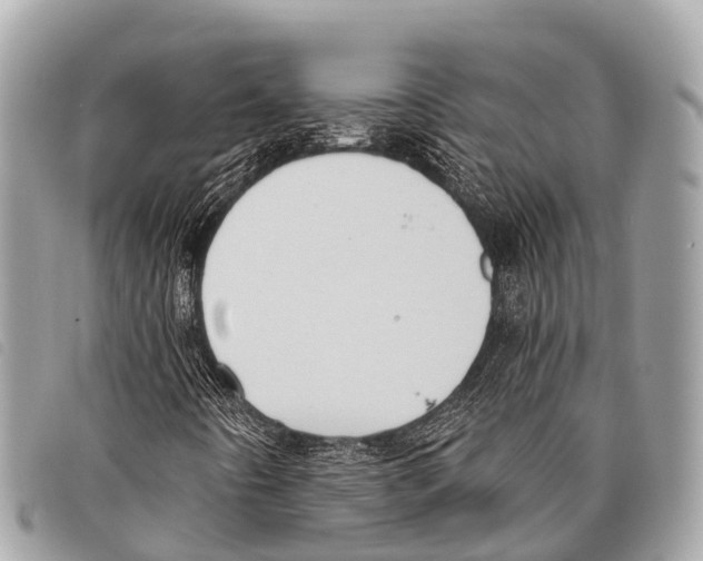 X0000097851442200804111117